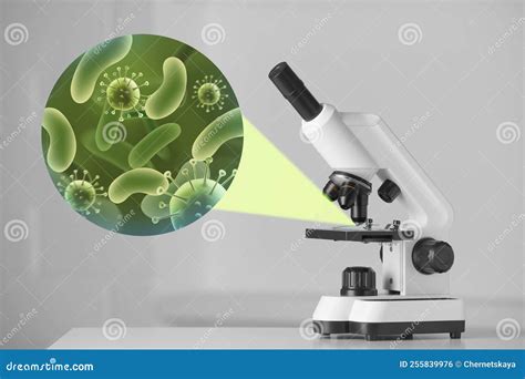 microscope microbiology.